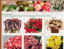 Tablet Screenshot of mybegonia.com